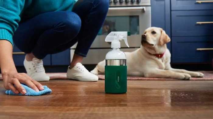 ضدعفونی کنندههای مخصوص محیط مخصوص سگ ها