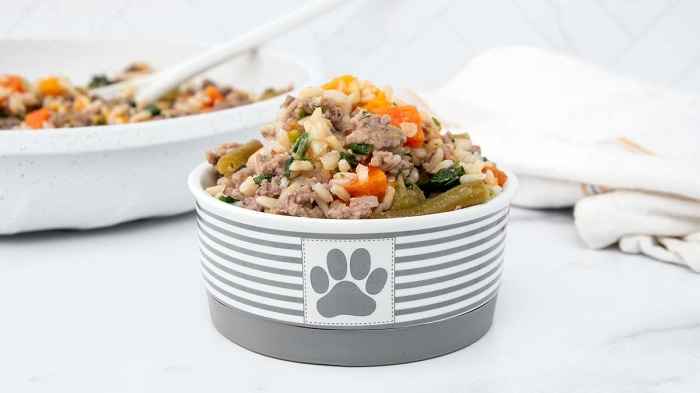 تهیه پوچ سگ خانگی