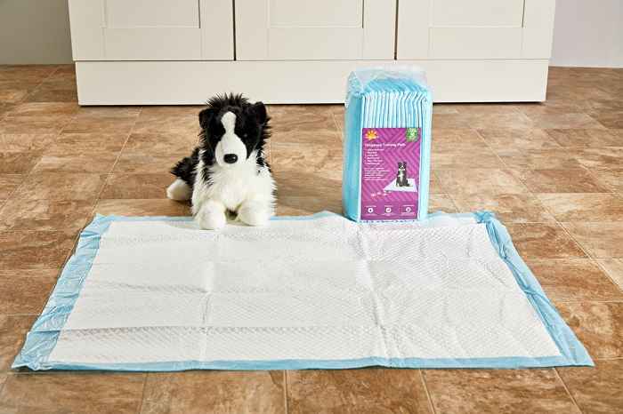 فواید استفاده از زیر انداز