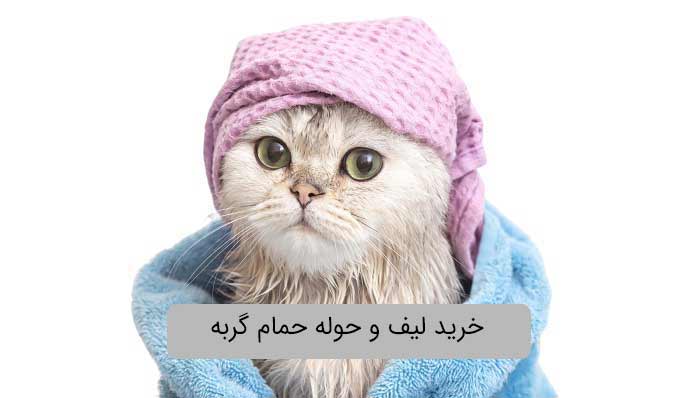 خرید لیف و حوله حمام گربه
