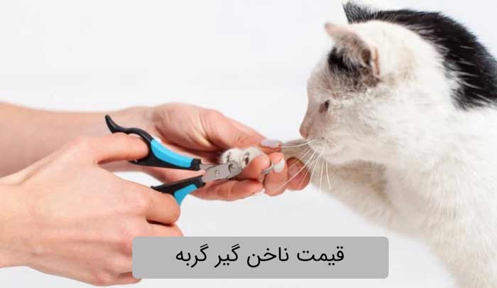 قیمت ناخن گیر
ربه