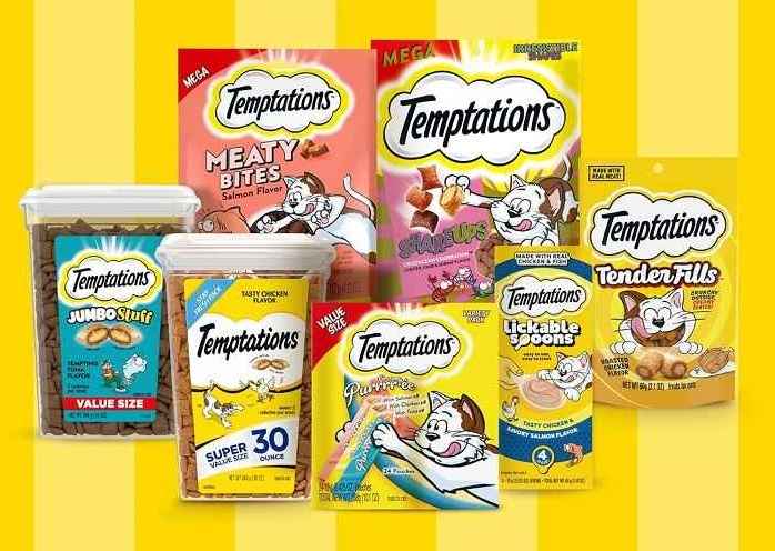 انواع تشویقی گربه