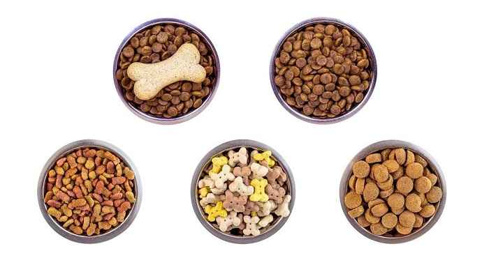 انواع غرای خشک