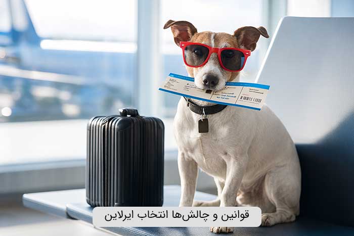 سفر هوایی با حیوان خانگی: قوانین و چالش‌ها انتخاب ایرلاین و قوانین حمل