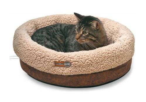 جای خواب گربه