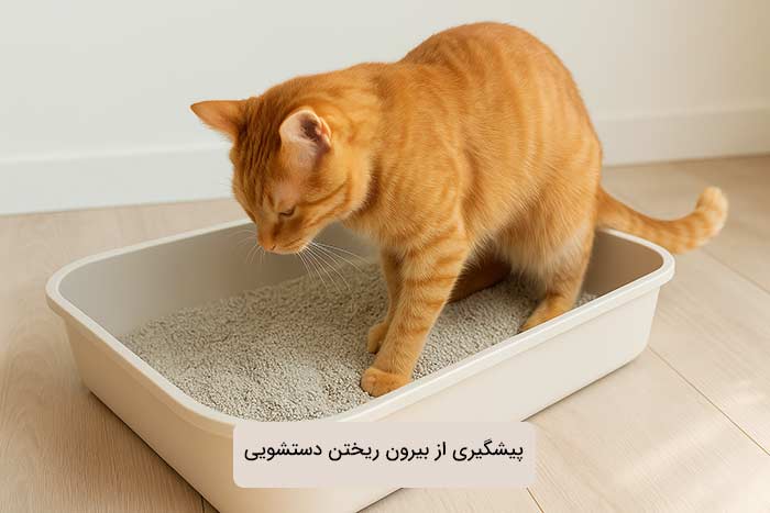 روشهای پیشگیری از دستشویی گربه خارج از خاک