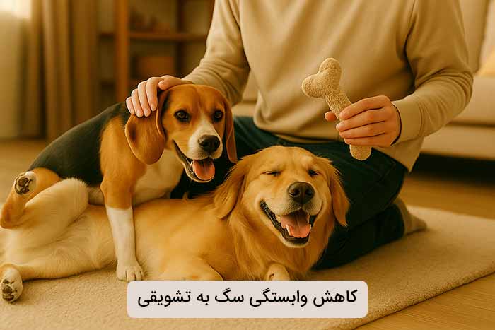کاهش وابستگی سگ به تشویقی