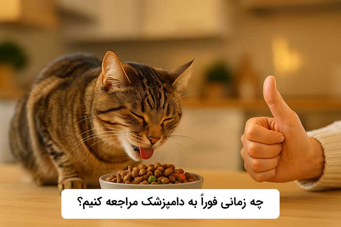 چه زمانی به دامپزشک مراجعه کنیم؟