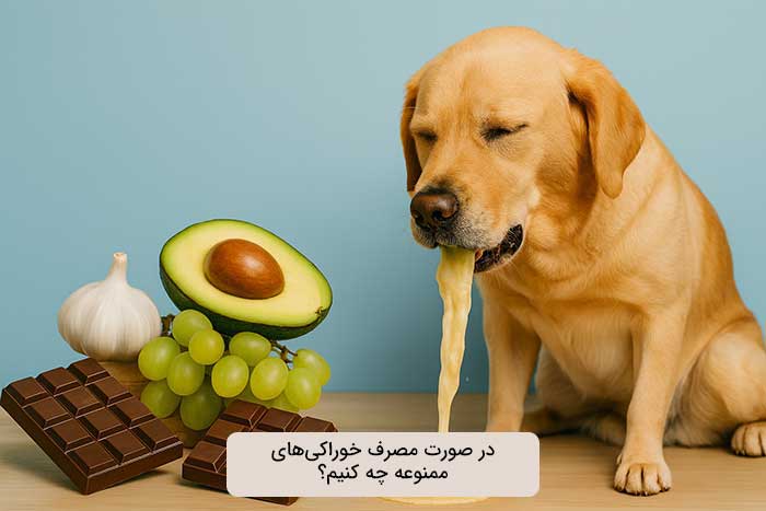 در صورت مصرف خوراکی‌های ممنوعه چه کنیم؟ ​