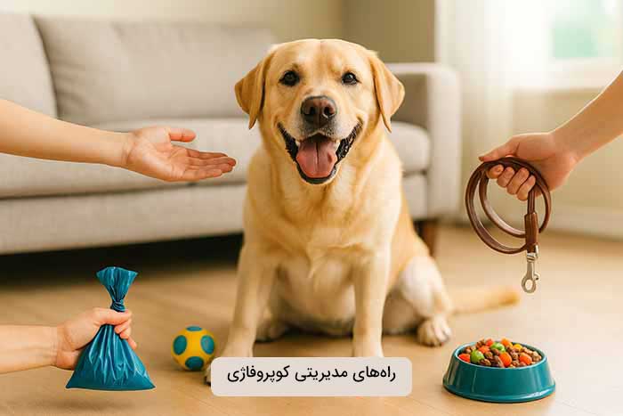 راهکارهای رفتاری و مدیریتی کوپروفاژی