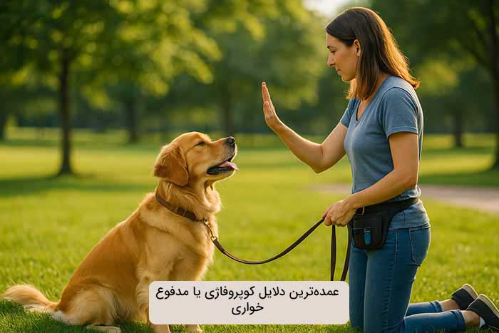 راهکارهای رفتاری و مدیریتی کوپروفاژی