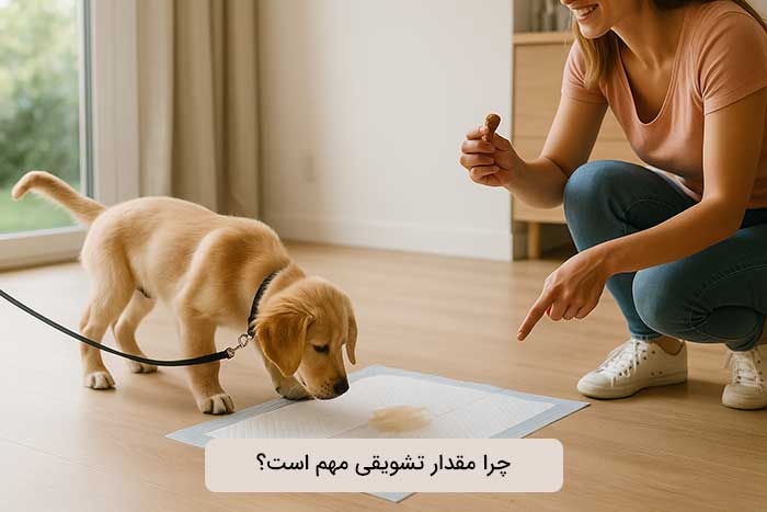 چرا مقدار تشویقی مهم است؟