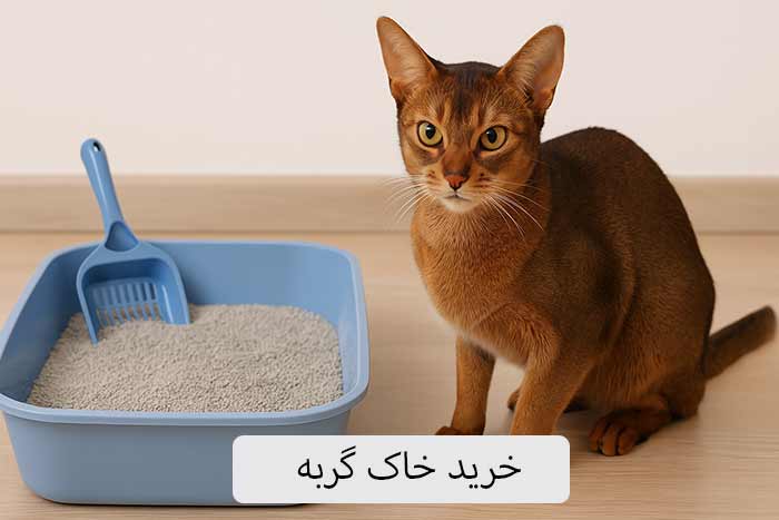 خرید خاک گربه