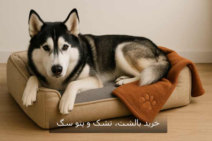 خرید بالشت، تشک و پتو سگ