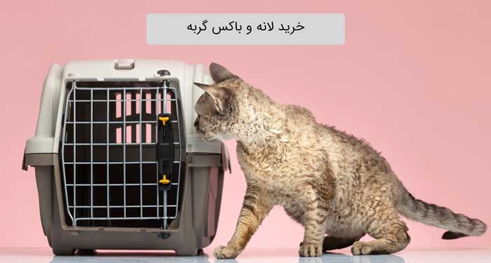 خرید لانه و باکس گربه