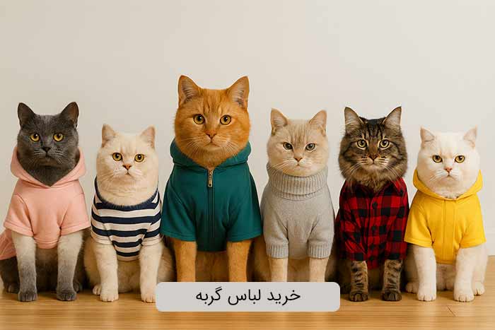 خرید لباس گربه