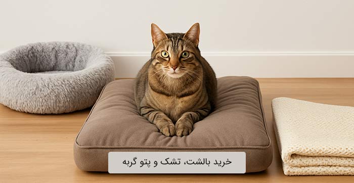 خرید خرید بالشت، تشک و پتو گربه