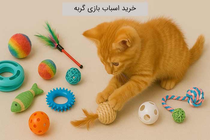 خرید اسباب بازی گربه