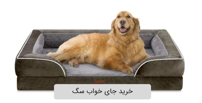 خرید جای خواب سگ