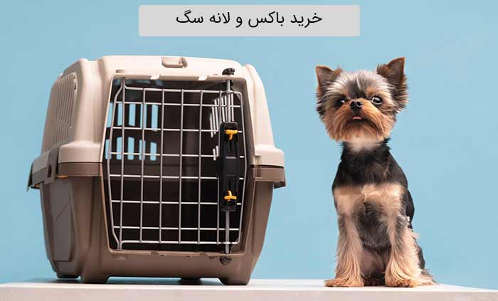 خرید لانه و باکس سگ