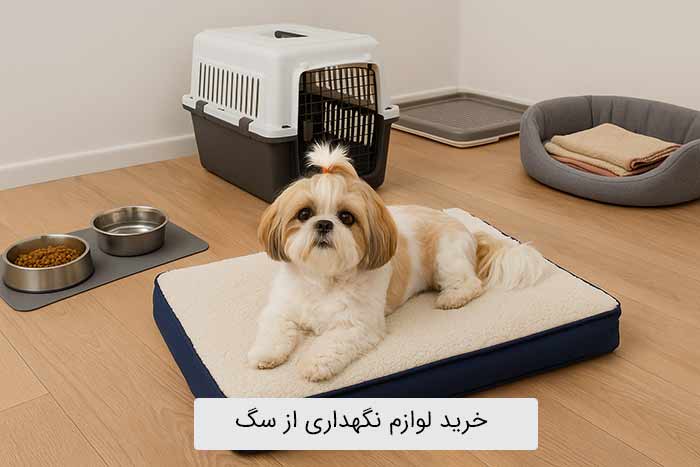 خرید لوازم نگهداری از سگ