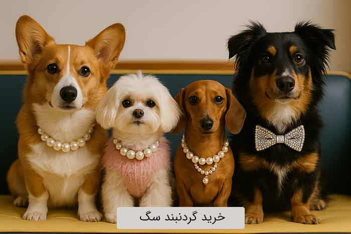 خریدگردنبند سگ