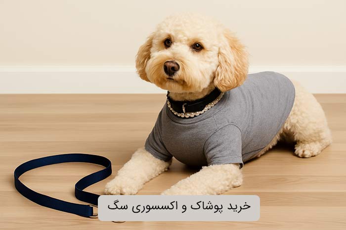خرید پوشاک و اکسسوری سگ