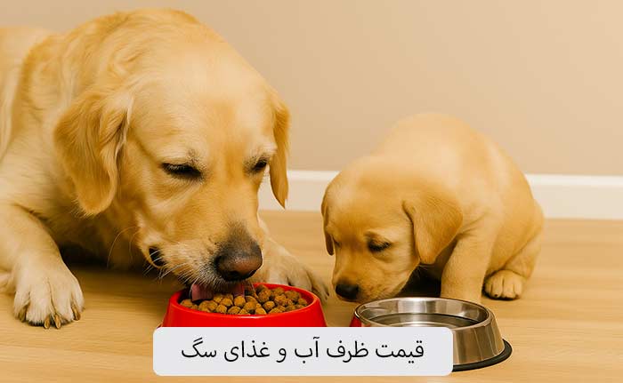 قیمت ظرف آب و غذای سگ