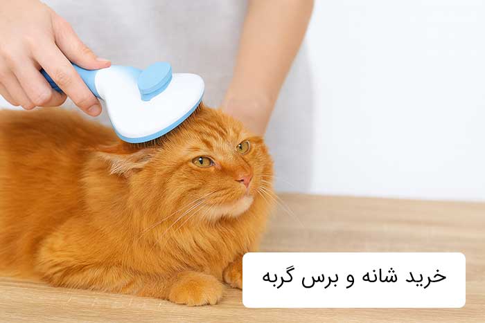 خرید شانه و برس گربه
