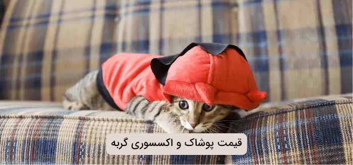 قیمت پوشاک و اکسسوری گربه