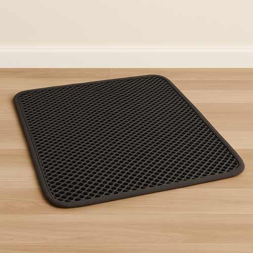 مت ظرف خاک گربه