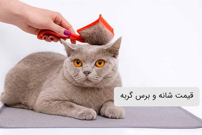 قیمت شانه و برس گربه