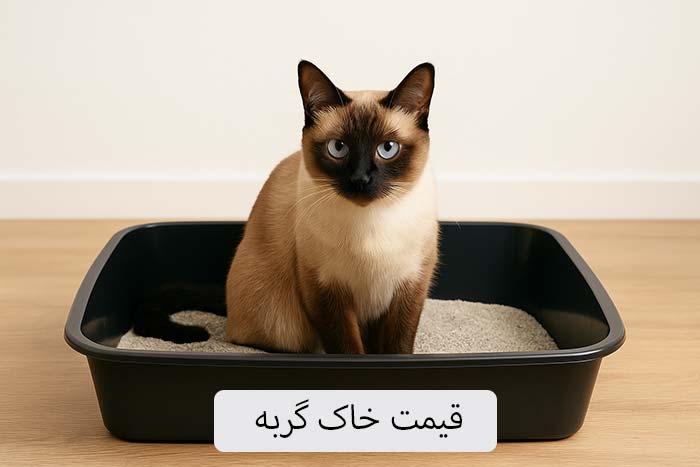 قیمت خاک گربه