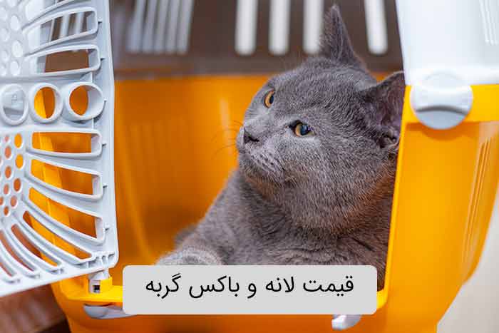 قیمت لانه و باکس گربه