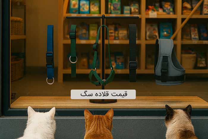 قیمت قلاده گربه