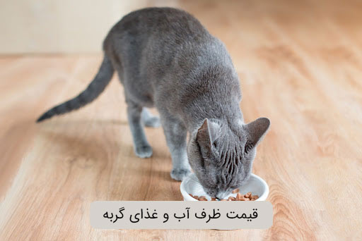 قیمت ظرف آب و غذای گربه