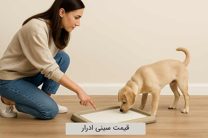 قیمت سینی ادرار