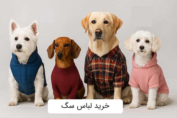 خرید لباس سگ