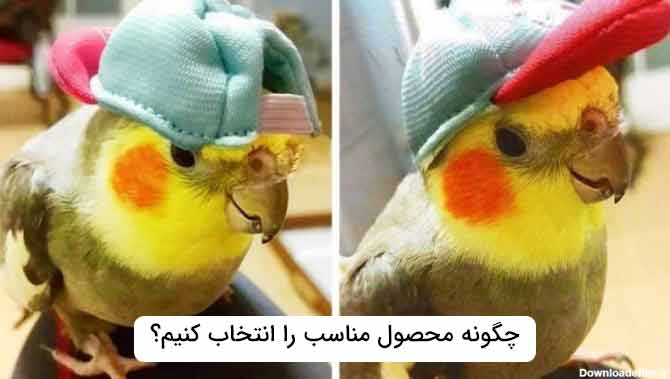 چگونه محصول مناسب را انتخاب کنیم؟