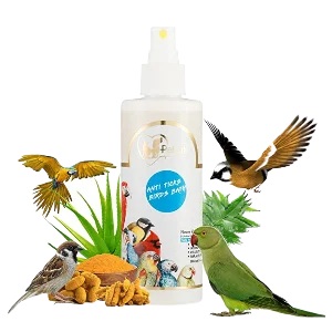 محصولات بهداشتی و مراقبت از پرنده