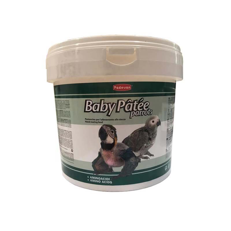 PadovanBabyPateeParrots Food غذای کمکی طوطی سانان پادوان مدل baby patee