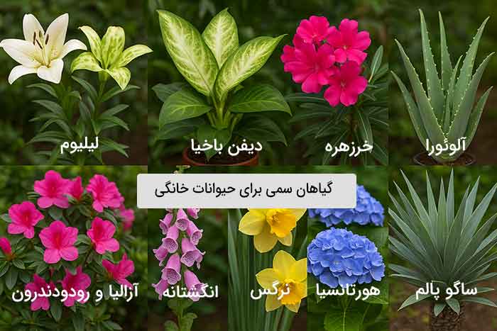 گیاهان سمی برای حیوانات