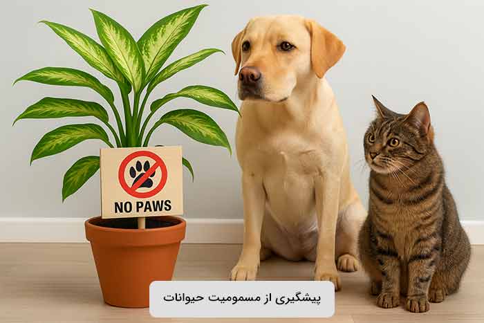 پیشگیری از مسمومیت حیوانات