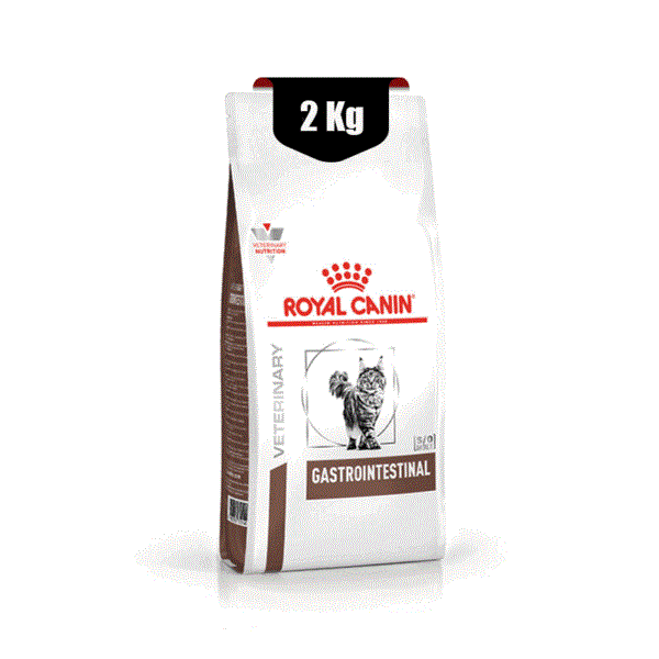 dfd656 غذای خشک گربه رویال کنین مدل Gastrointestinal