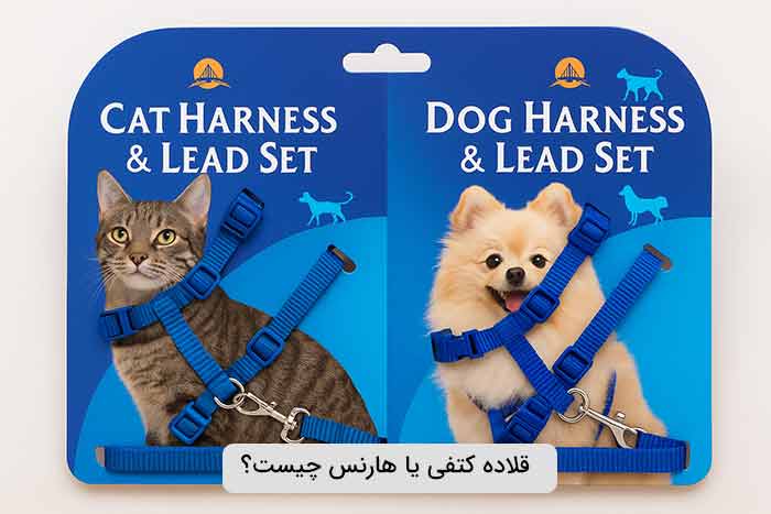 قلاده کتفی چیست؟