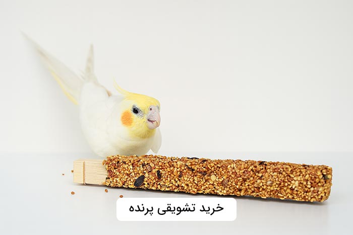 خرید تشویقی پرنده