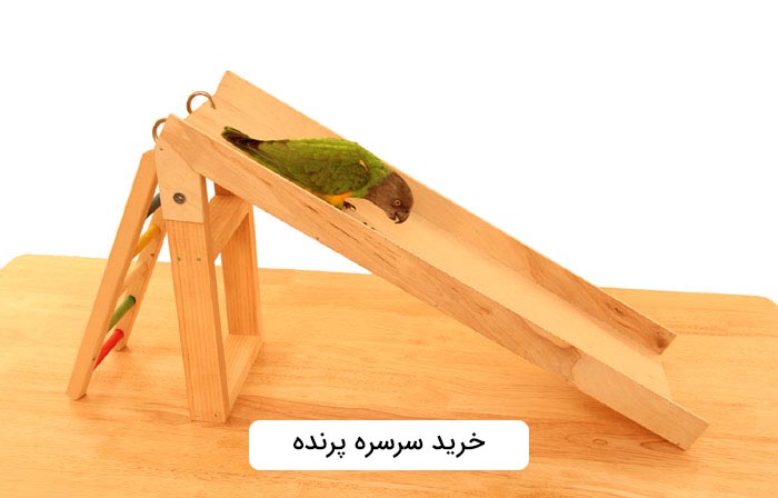 خرید سرسره پرنده