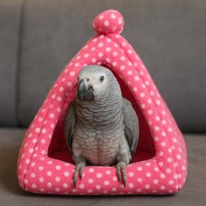 مخفیگاه پرنده