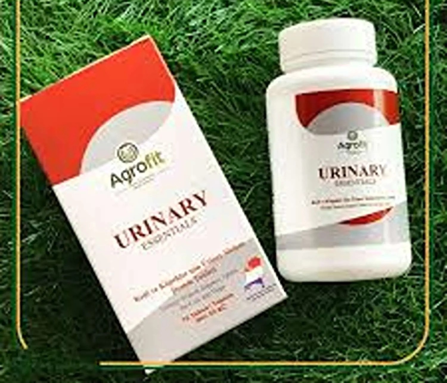 252972496_33_11zon مکمل ادراری سگ و گربه Agrofit مدل Urinary Essentials