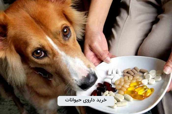 خرید دارو برای حیوانات